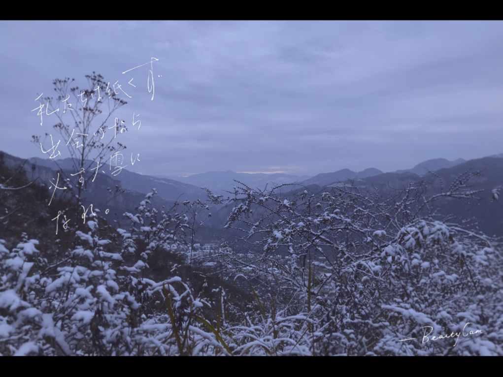 幽幽梦游记