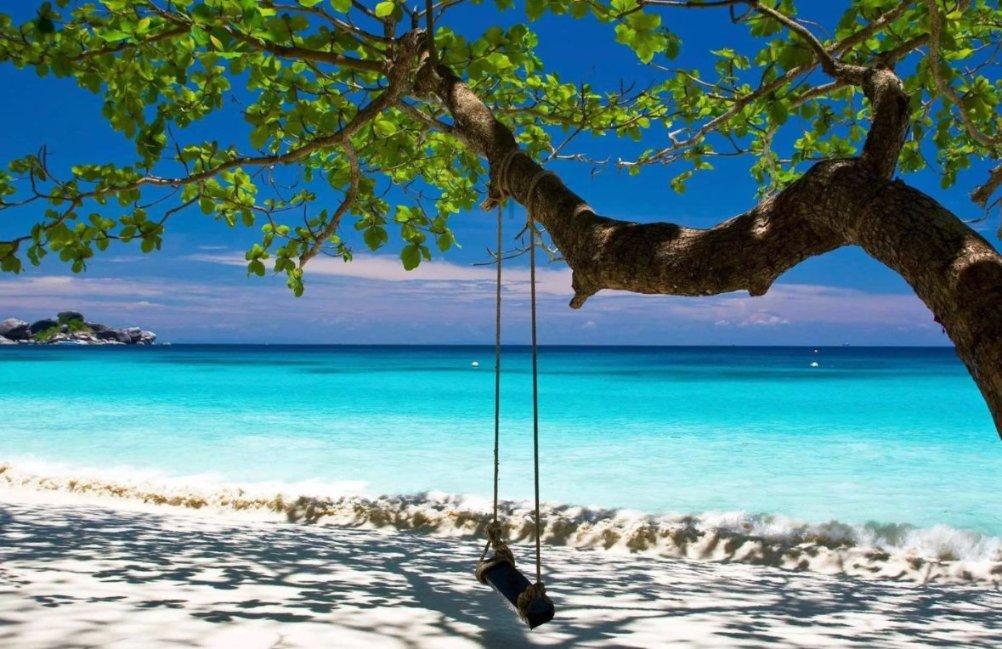 意想不到的旅程